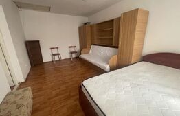 Apartament cu o camera, 35mp cu acces la mansarda, zona Bradet