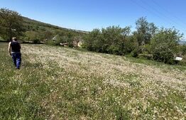 Teren de vanzare, ideal pentru investitie sau constructie.