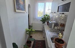 Apartament de vânzare 2 camere, 38 mp - Simleul Silvaniei