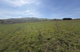 Teren extravilan în suprafață de 5300 mp - Livada