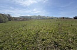 Teren extravilan în suprafață de 5300 mp - Livada