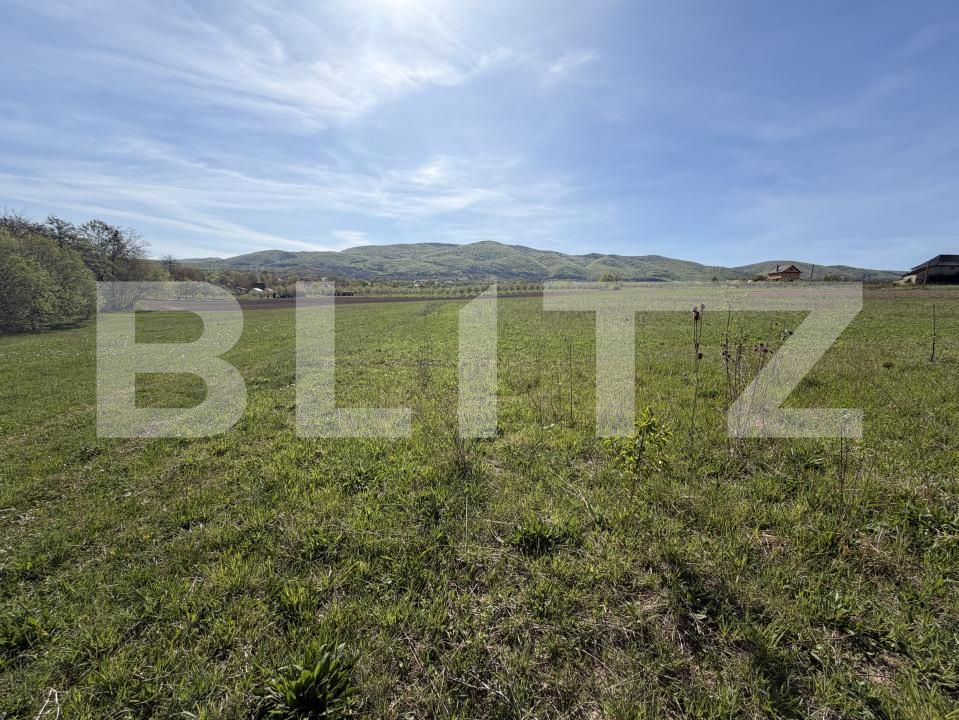 Teren de vânzare Nord-Est - 194377TV | BLITZ Zalău | Poza2