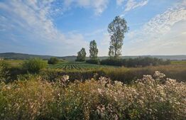 Teren de vanzare la drumul judetean, Pericei, zona Keller.