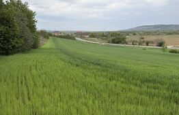 Teren intravilan, in localitatea Bobota in suprafata de 12.500 mp