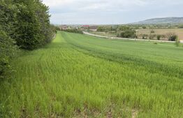 Teren intravilan, in localitatea Bobota in suprafata de 12.500 mp