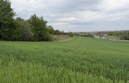Teren intravilan, in localitatea Bobota in suprafata de 12.500 mp