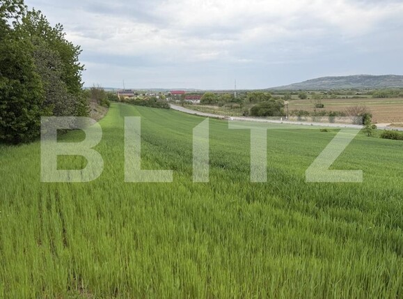 Teren de vânzare Bobota - 194637TV | BLITZ Zalău | Poza4