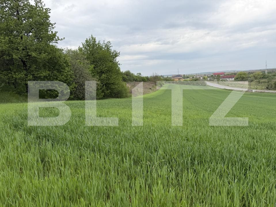 Teren de vânzare Bobota - 194637TV | BLITZ Zalău | Poza3