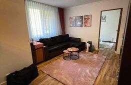 Apartament de vanzare, 2 camere, recent renovat