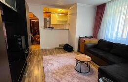 Apartament de vanzare, 2 camere, recent renovat