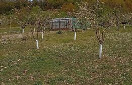 Oportunitate Unica Spatiu Comercial+ Hala+Cladire Rezidentiala Teren si Foisor