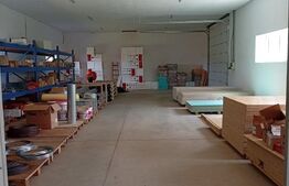 Oportunitate Unica Spatiu Comercial+ Hala+Cladire Rezidentiala Teren si Foisor