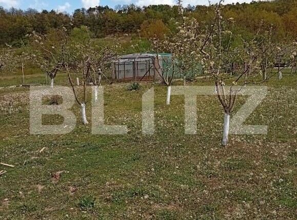 Spațiu comercial de vânzare Exterior-Est - 194888SVC | BLITZ Zalău | Poza18