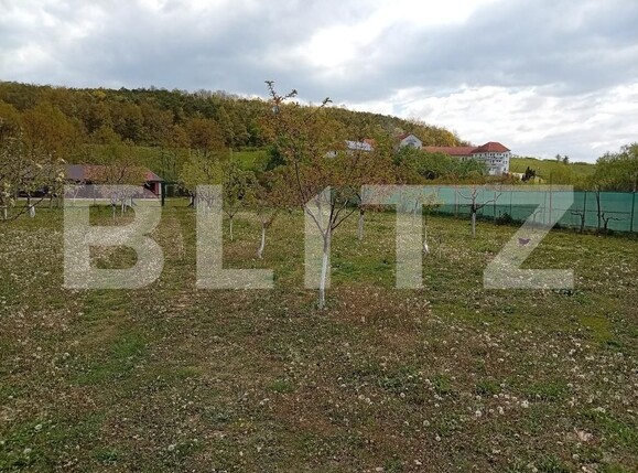Spațiu comercial de vânzare Exterior-Est - 194888SVC | BLITZ Zalău | Poza19