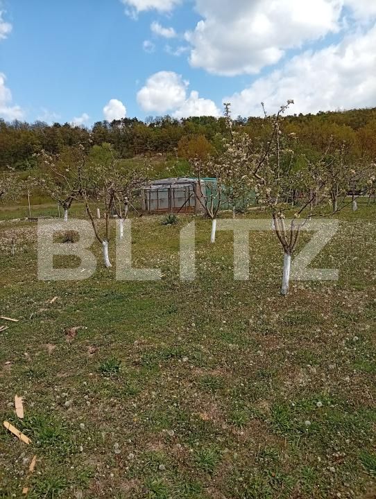 Spațiu comercial de vânzare Exterior-Est - 194888SVC | BLITZ Zalău | Poza18