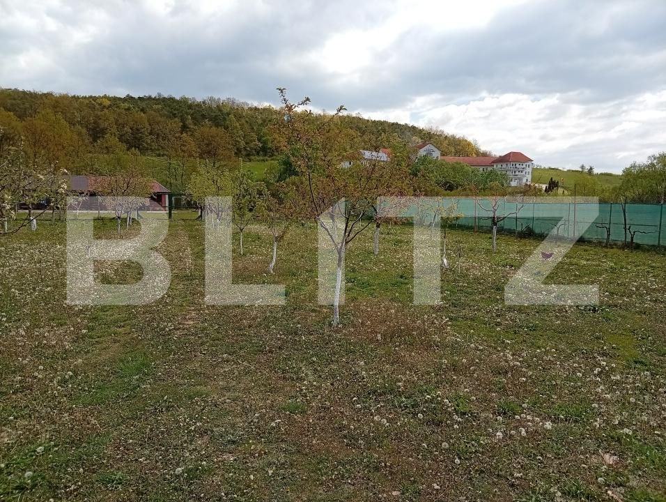 Spațiu comercial de vânzare Exterior-Est - 194888SVC | BLITZ Zalău | Poza19