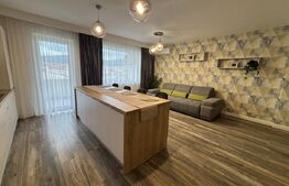 Apartament de 3 camere, in zona centrala, recent renovat!