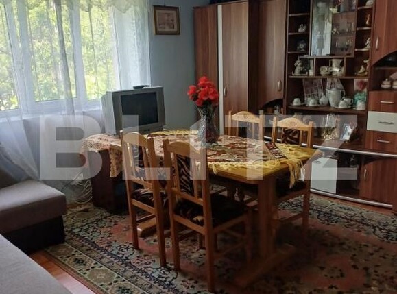 Casa de vânzare 3 camere Domnin - 195631CV | BLITZ Zalău | Poza1