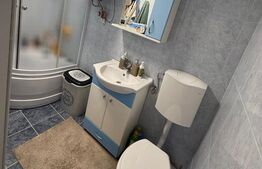 Garsonieră de vânzare, 21 mp, etajul 4, zona Dumbrava II