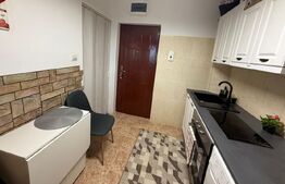 Garsonieră de vânzare, 21 mp, etajul 4, zona Dumbrava II