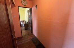 Apartament de 2 camere, 40 mp, cartier Dumbrava 