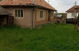 Casă cu 3 camere și un teren de 3000 mp, zona Cuzaplac