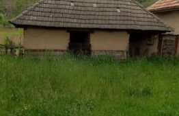Casă cu 3 camere și un teren de 3000 mp, zona Cuzaplac