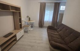 Garsonieră 22 mp, recent renovată, investiție sau locuit, zona Porolissum