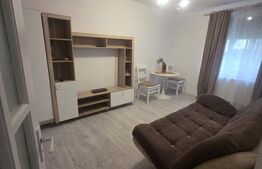Garsonieră 22 mp, recent renovată, investiție sau locuit, zona Porolissum