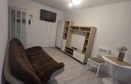 Garsonieră 22 mp, recent renovată, investiție sau locuit, zona Porolissum