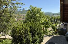 Casă ultrafinisata, 205 mp, teren de 800 mp, zona Stadion 