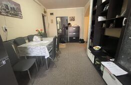 Apartament 2 camere, 50 mp si spatiu la mansarda, zona Dumbrava Nord