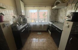 Apartament 2 camere, 50 mp si spatiu la mansarda, zona Dumbrava Nord