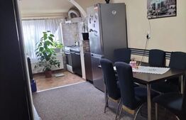 Apartament 2 camere, 50 mp si spatiu la mansarda, zona Dumbrava Nord