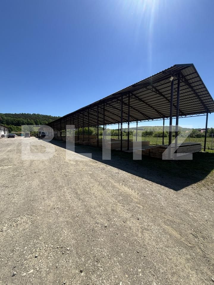 Spațiu industrial de vânzare Romanasi - 197250SVI | BLITZ Zalău | Poza3