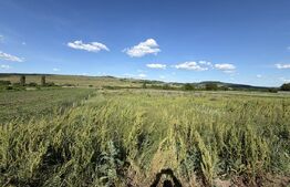 Teren intravilan în suprafață de 5900 mp la drum european 