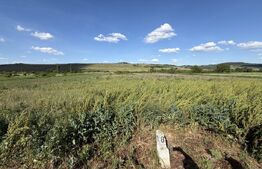 Teren intravilan în suprafață de 5900 mp la drum european 