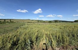 Teren intravilan în suprafață de 5900 mp la drum european 