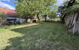 Casă cu 3 camere și un teren de 4100 mp