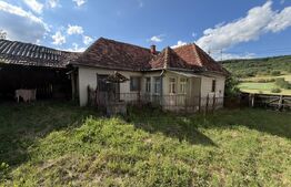 Casă cu 3 camere și un teren de 4100 mp