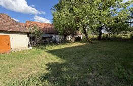 Casă cu 3 camere și un teren de 4100 mp