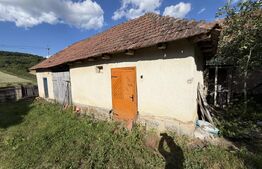 Casă cu 3 camere și un teren de 4100 mp