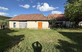 Casă cu 3 camere și un teren de 4100 mp