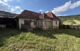 Casă cu 3 camere și un teren de 4100 mp