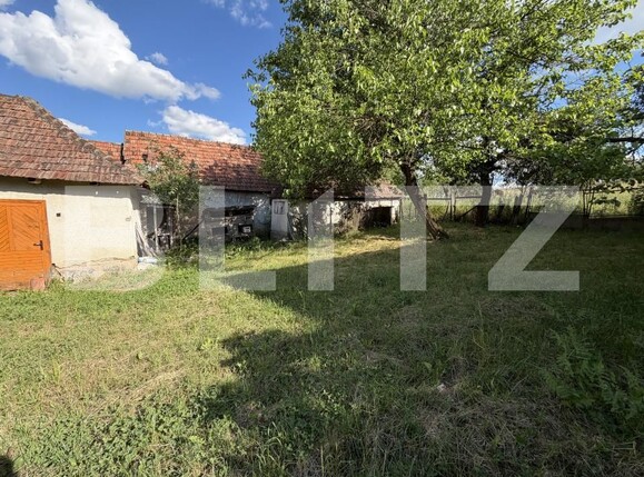 Casa de vânzare 3 camere Huseni - 197713CV | BLITZ Zalău | Poza7