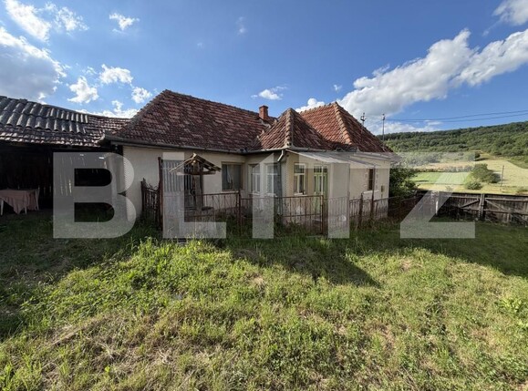 Casa de vânzare 3 camere Huseni - 197713CV | BLITZ Zalău | Poza1