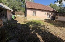 Casă cu 3 camere și un teren în suprafață de 1900 mp