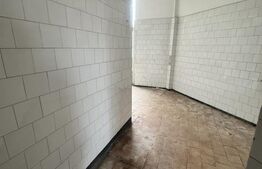 Spațiu comercial de vânzare, zona Dumbrava 