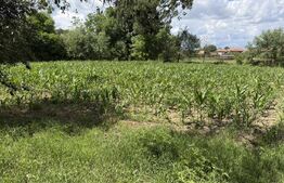 Teren intravilan de vanzare, 3656 mp - Aghires