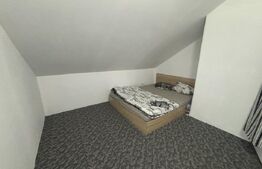 Casa de vanzare, 6 camere, 190 mp + teren de 5.000 mp - Carastelec